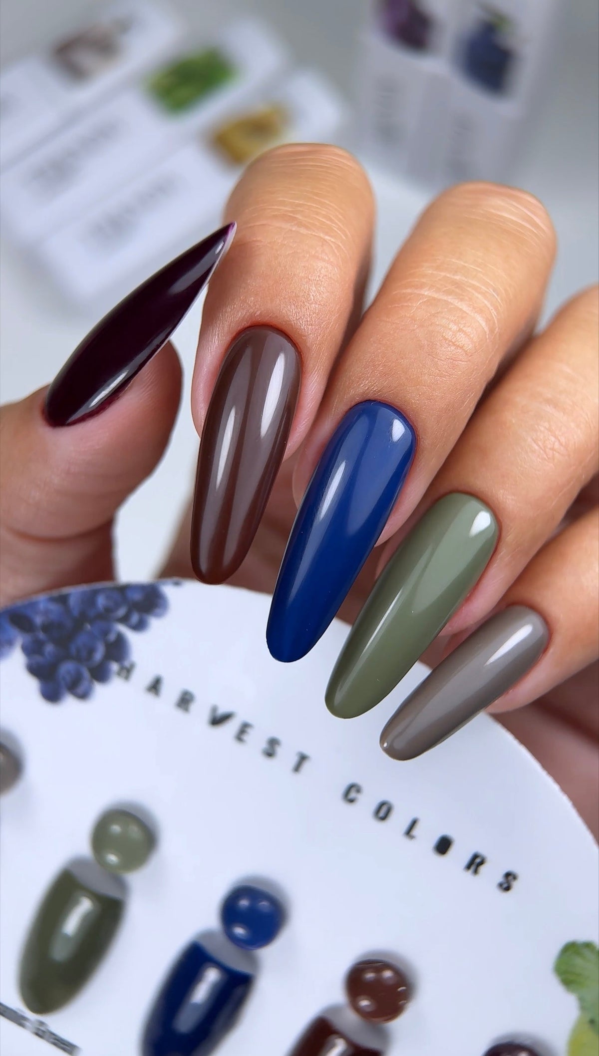 Harvest Colors