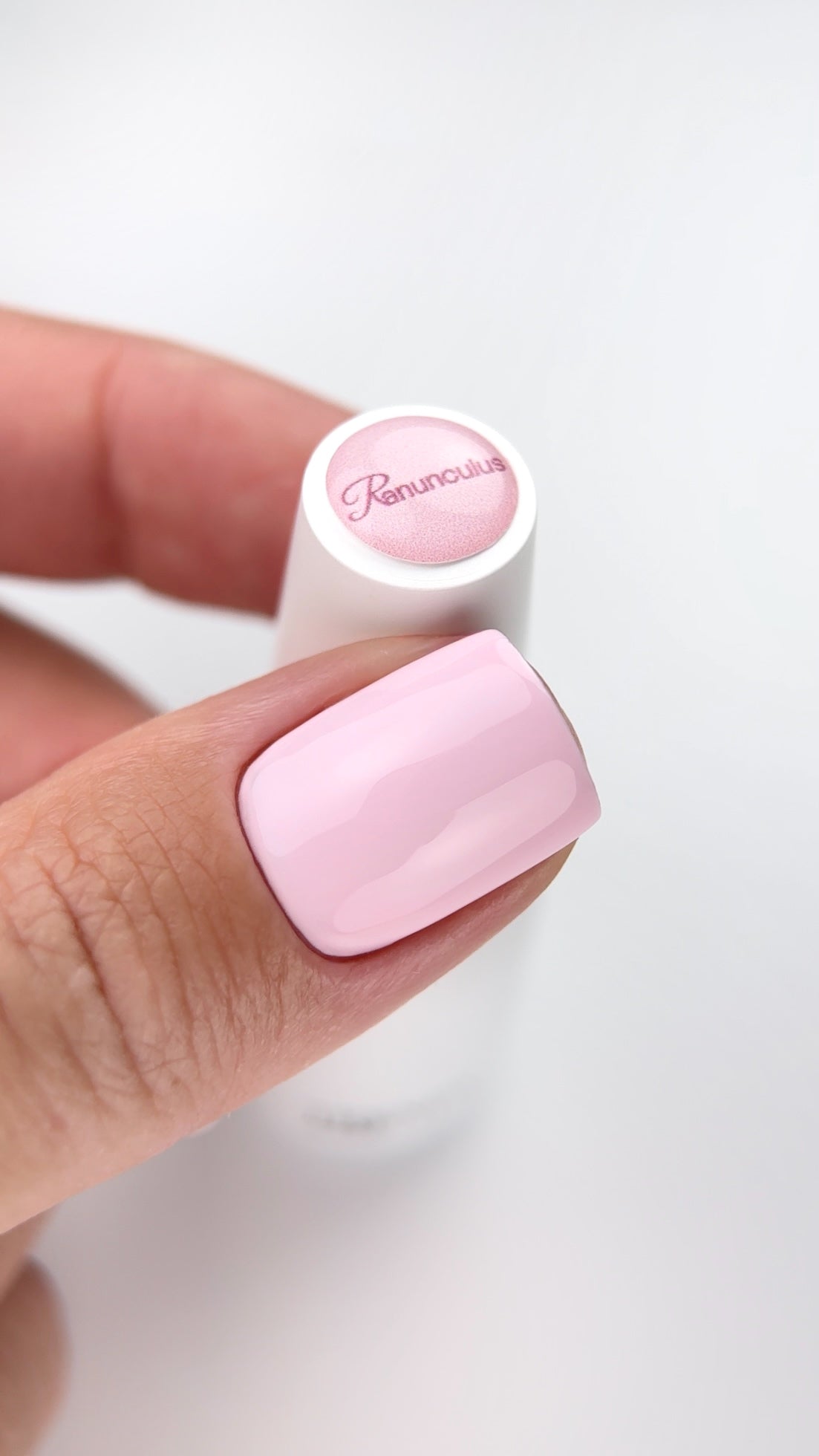 Ranunculus – 10 ml