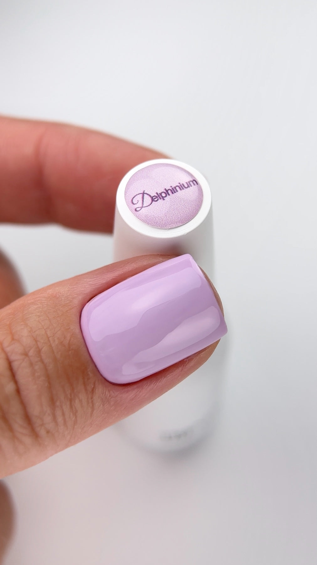 Delphinium – 10 ml