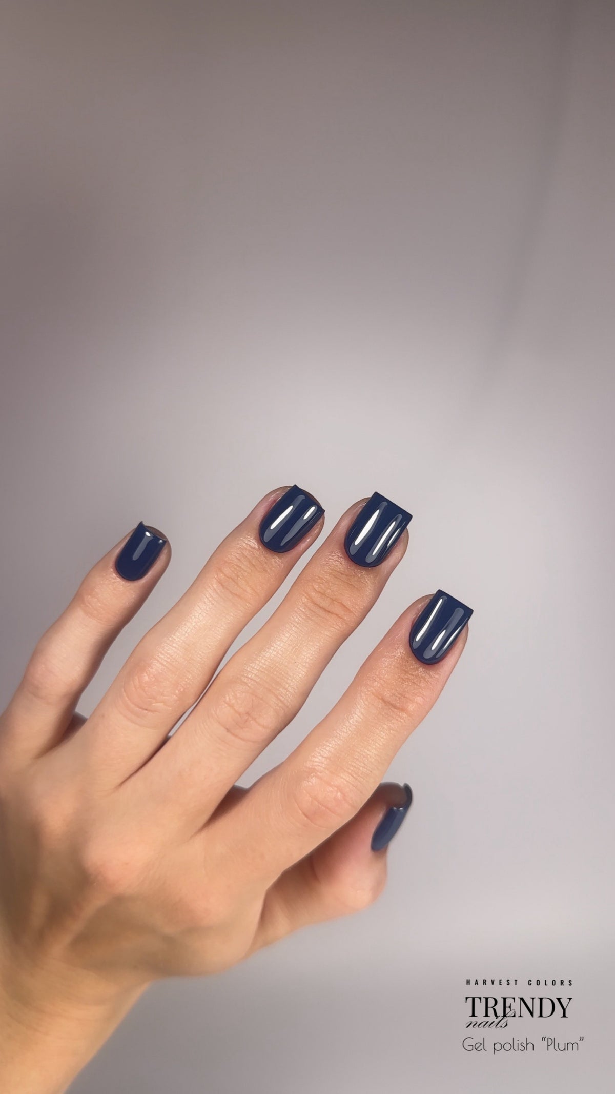 Gel Polish Plum