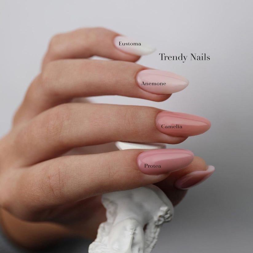 Fiber Base Eustama – 15/30 ml